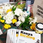 MKTE Span Afric