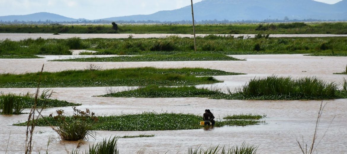 Beyond Ondiri, is it a Lake? Is it a bog?